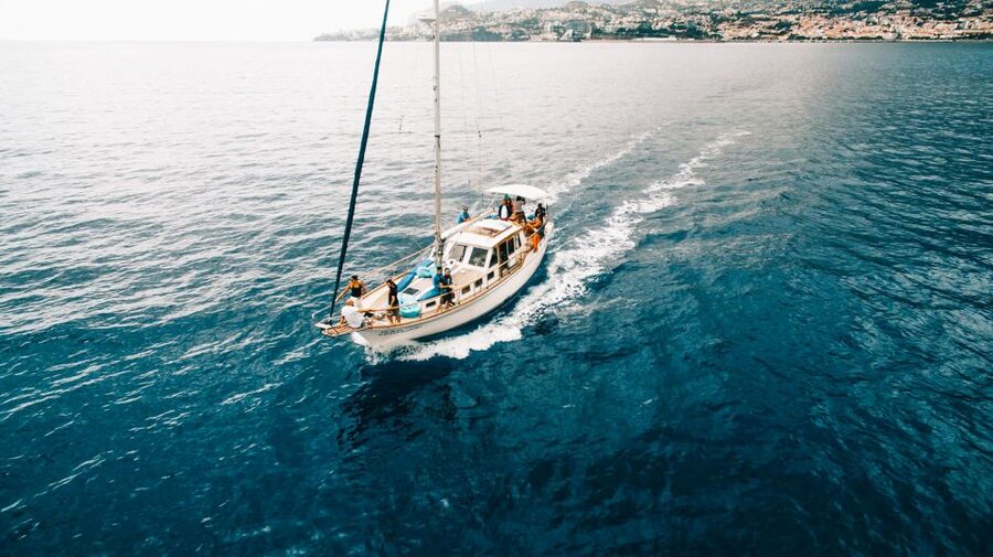 Funchal: Dolphin and Whale Watching Sunset Sailing Tour - Final verdict: book for the full evening, not just the whales