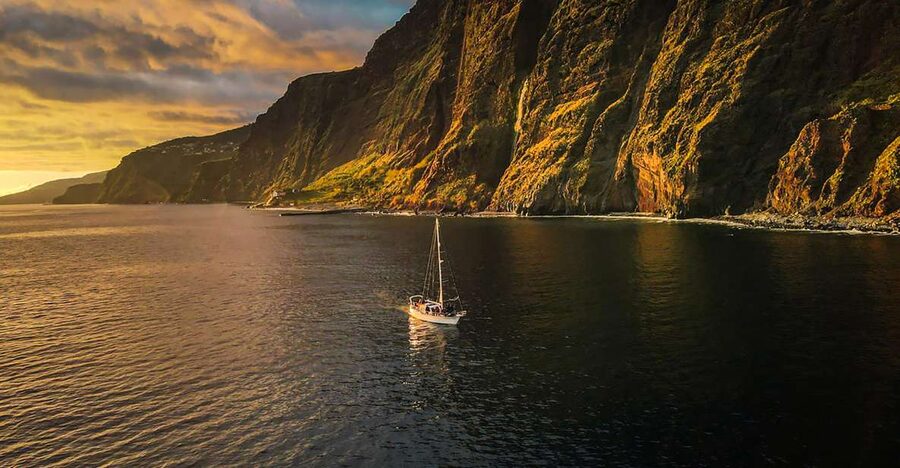 Funchal: Dolphin and Whale Watching Sunset Sailing Tour - Searching for dolphins and whales off Madeira