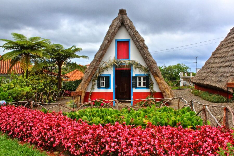 Funchal: East Madeira Island Guided Tour & Laurissilva Walk - What the $35 price really gets you