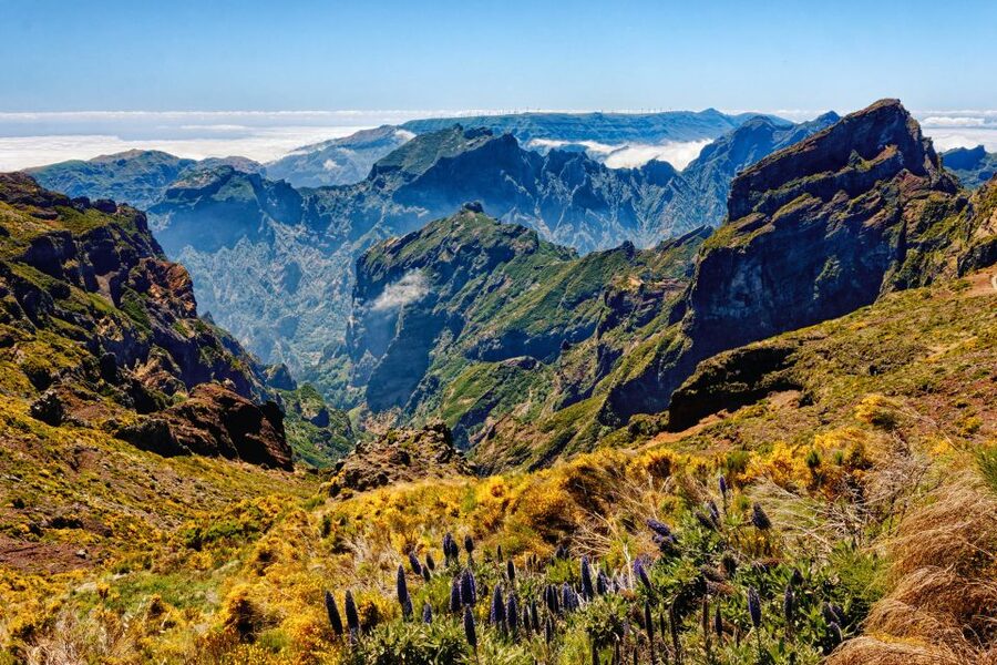 Funchal: East Madeira Island Guided Tour & Laurissilva Walk - Why this east Madeira tour works so well