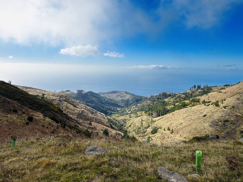 Funchal: East Madeira Island Guided Tour & Laurissilva Walk - Faial’s Guindaste viewpoint