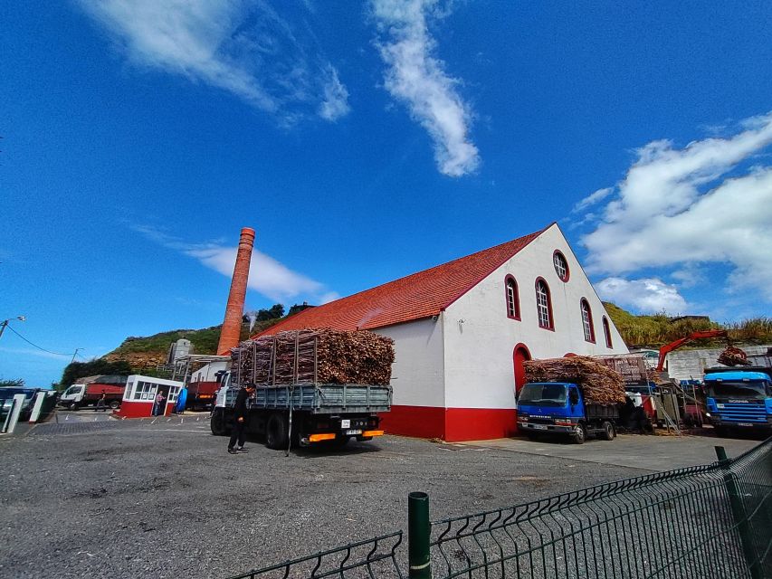Funchal: East Madeira Island Guided Tour & Laurissilva Walk - Ponta de São Lourenço, the eastern edge of the island