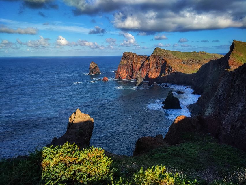 Funchal: East Madeira Island Guided Tour & Laurissilva Walk - The guide makes or breaks the drive