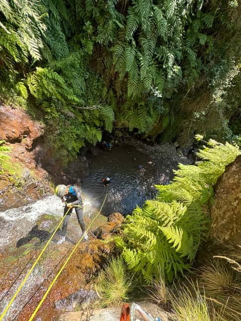 Funchal: Explore Canyoning Level 1 Rochão - A gentle first step into Madeira canyoning