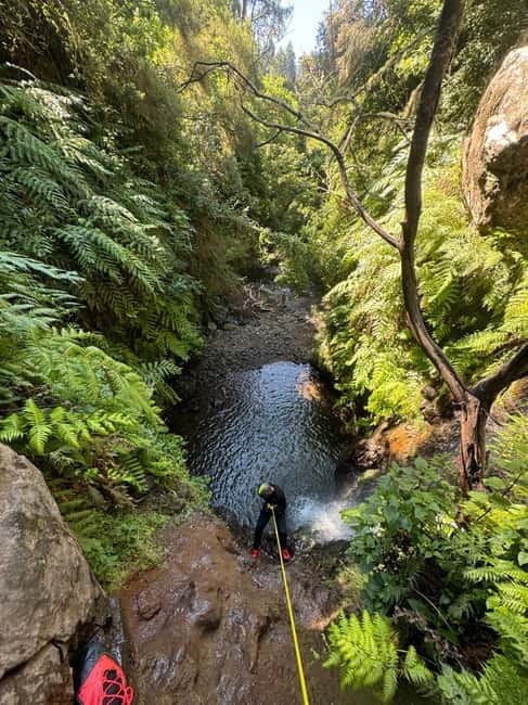 Funchal: Explore Canyoning Level 1 Rochão - Optional jumps, clear pools, and natural slides