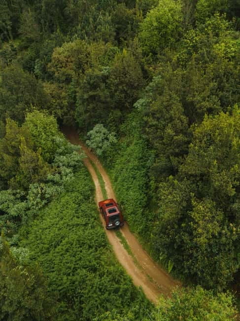 Funchal: Full-day Off-road Tour in West Madeira with Pickup - Who should book this west Madeira tour?