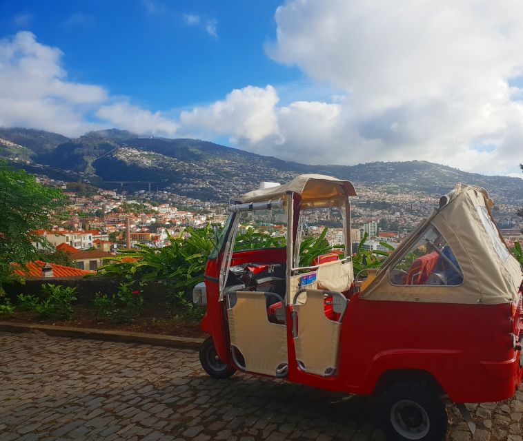 Funchal: Guided City Tuk-Tuk Tour - Pickup, timing, and practical limits