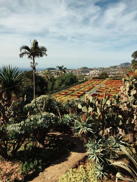 Funchal: Guided Old Town Tuk Tuk Tour and Botanical Gardens - Why a tuk tuk suits Funchal’s steep streets