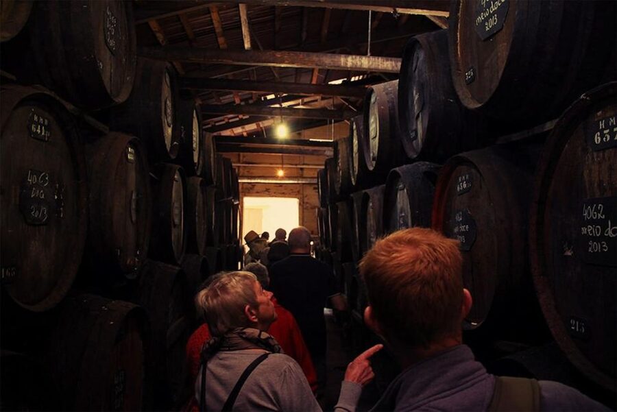 Funchal: H.M. Borges Winery Guided Tour with Wine Tasting - Why this Funchal winery visit is worth your time