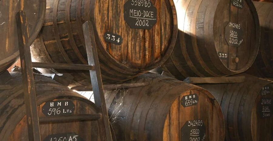 Funchal: H.M. Borges Winery Guided Tour with Wine Tasting - From grapes to Madeira wine