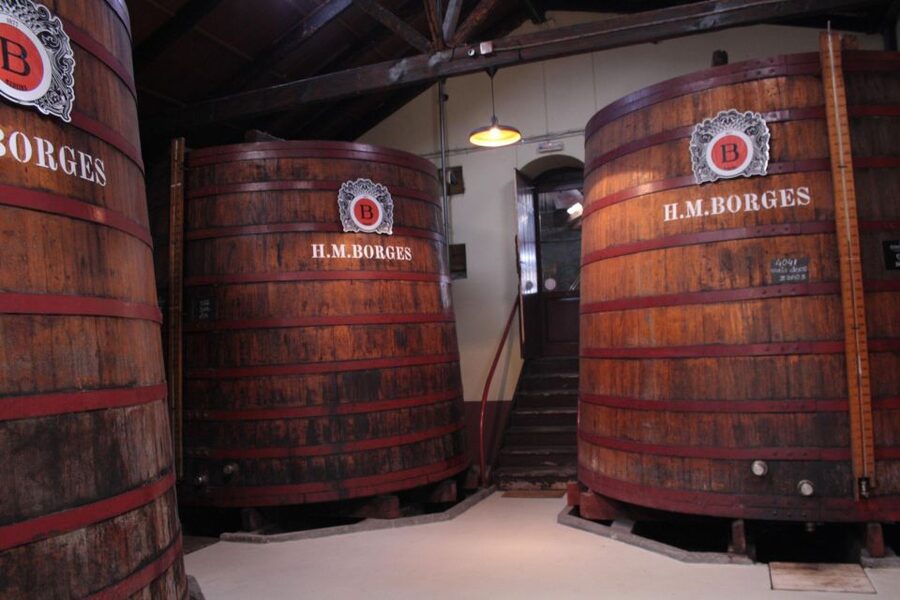 Funchal: H.M. Borges Winery Guided Tour with Wine Tasting - Casks, labels, and the story of the winery