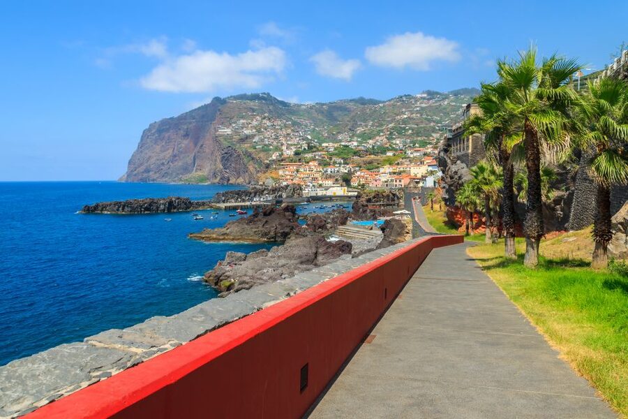 Funchal: Hop-On Hop-Off Bus Tour - Why the yellow bus makes sense in Funchal