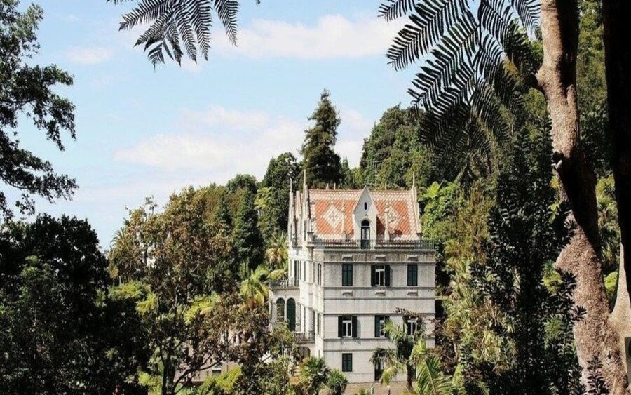 Funchal: Monte Palace Tropical Gardens Tuk Tuk Tour - From Funchal’s Center to the Hills of Monte