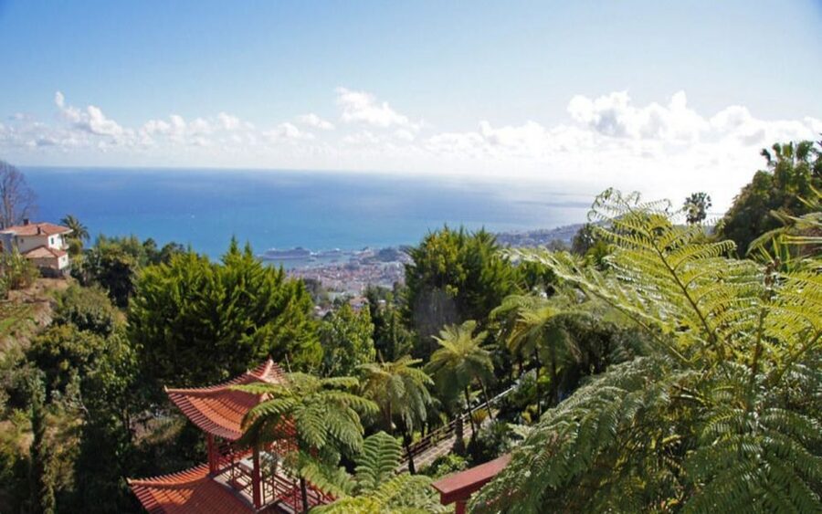 Funchal: Monte Palace Tropical Gardens Tuk Tuk Tour - Viewpoints and a Church Above the City
