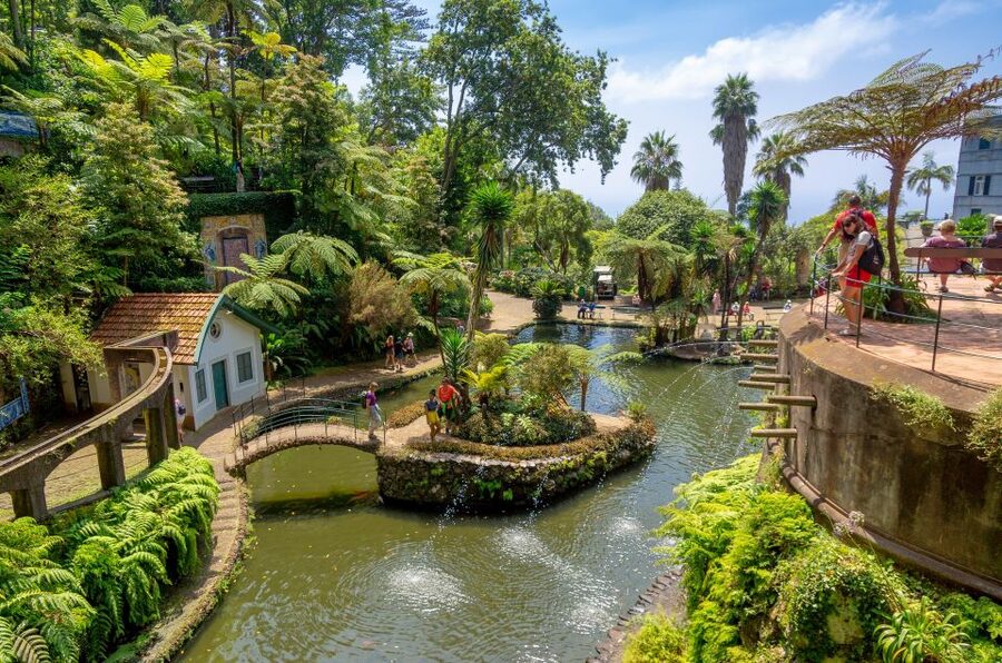 Funchal: Monte Palace Tropical Gardens Tuk Tuk Tour - Exploring Monte Palace Tropical Gardens