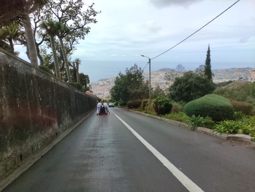 Funchal: Monte Toboggan and Old Town Tour by Tuk-Tuk - Key points to know before you book