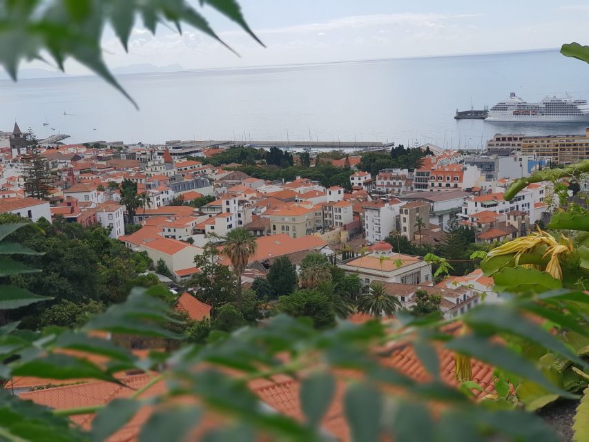 Funchal: Monte Toboggan and Old Town Tour by Tuk-Tuk - Who should book this Funchal tour?