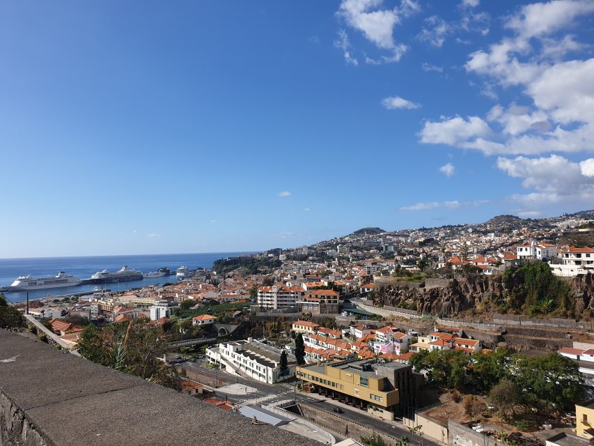 Funchal: Monte Toboggan and Old Town Tour by Tuk-Tuk - Guides, communication, and private-group value