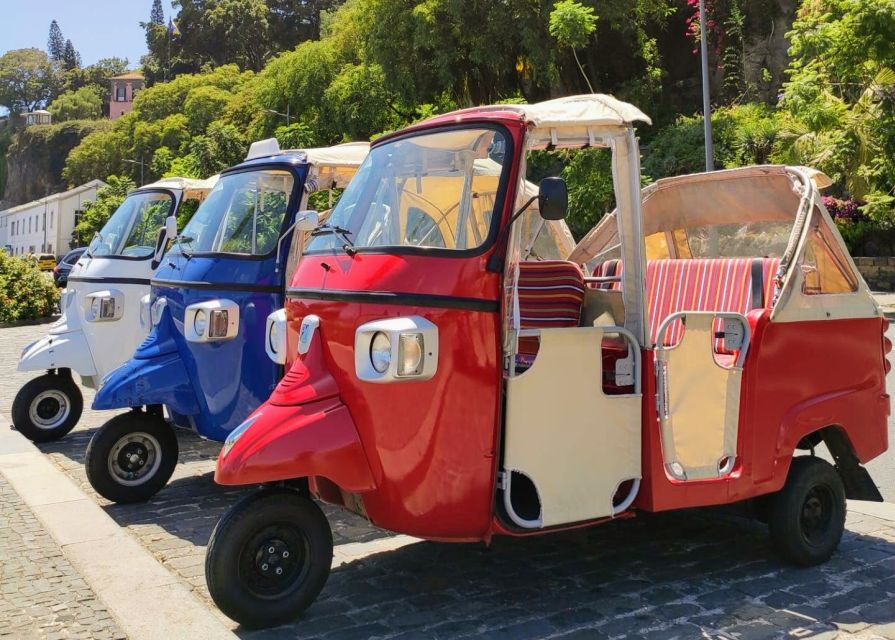 Funchal: Monte Toboggan and Old Town Tour by Tuk-Tuk - Is $47 a fair price?