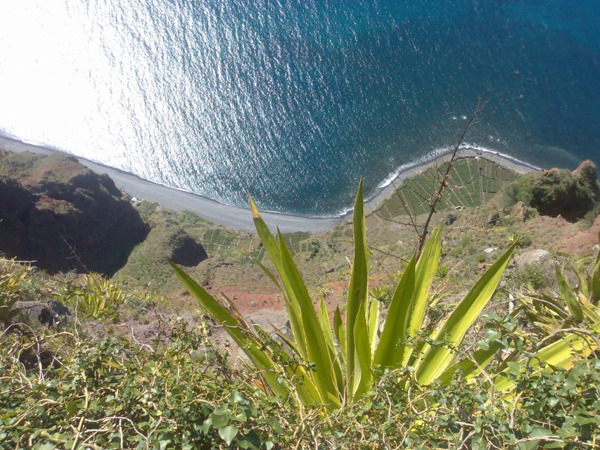 Funchal: Nuns Valley Half Day Tour - Should you book the Nuns Valley tour?