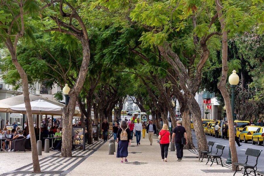 Funchal: Old Town Walking Tour - City Hall, a sweet factory, and the street that tells Funchal’s commercial story