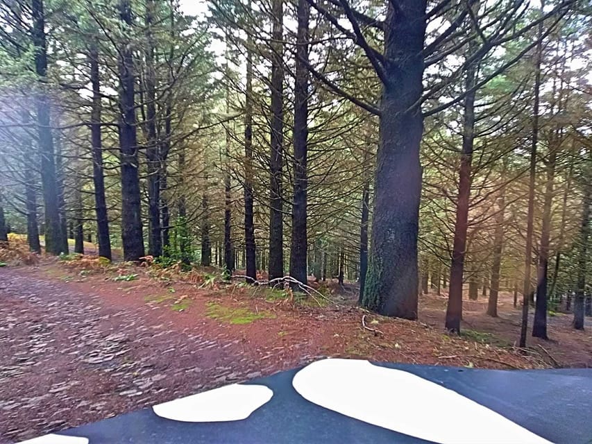 Funchal: Pico do Areeiro to Santana 4x4 East Tour - What the seven-hour schedule feels like
