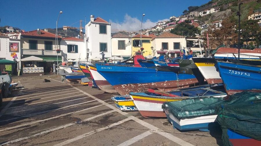 Funchal Private 4-Seater VIP Mercedes / 8-Seater Minibus - Should you book this private Madeira tour?