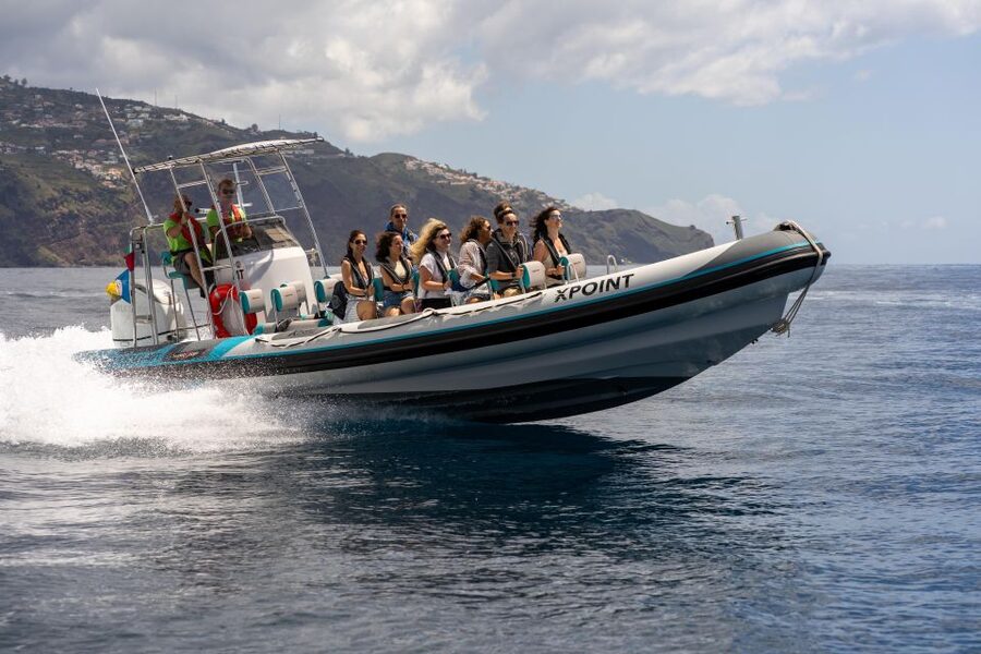 Funchal: RIB Whale Watching Cruise and Optional Dolphin Swim - A small RIB is the right choice for a closer look