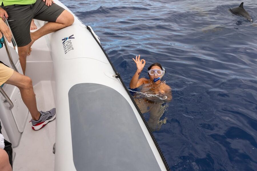 Funchal: RIB Whale Watching Cruise and Optional Dolphin Swim - Searching the Atlantic for dolphins, whales, and turtles
