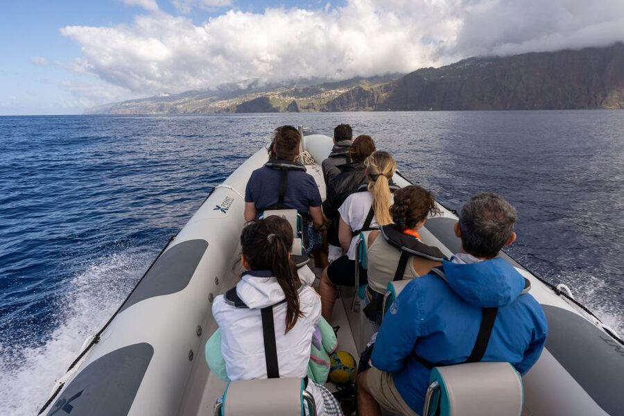 Funchal: RIB Whale Watching Cruise and Optional Dolphin Swim - The optional dolphin swim is brief and highly regulated