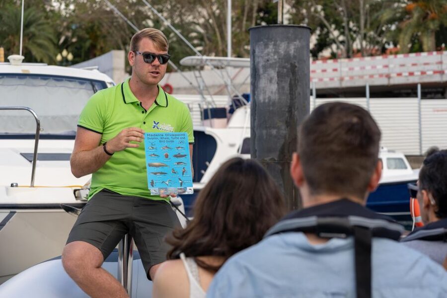 Funchal: RIB Whale Watching Cruise and Optional Dolphin Swim - Who will enjoy this trip most?