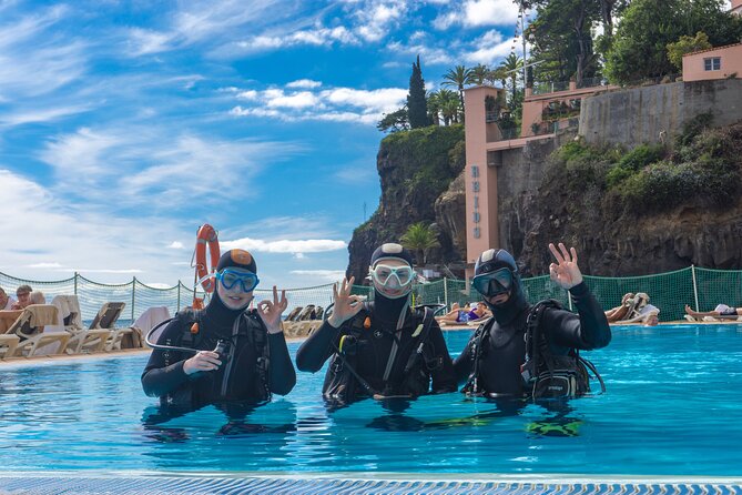 Funchal: Scuba Diving Experience for Beginners - Fish, octopus, rays, and small Atlantic life