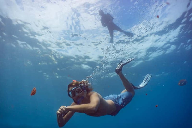 Funchal: Snorkeling Adventure in Eco-Park / Shore or by Boat - Taking the guided boat trip to the protected reserve