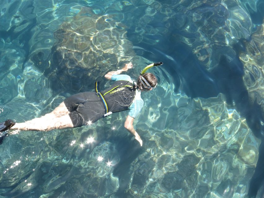 Funchal: Snorkeling Adventure in Eco-Park / Shore or by Boat - What you may see below the surface