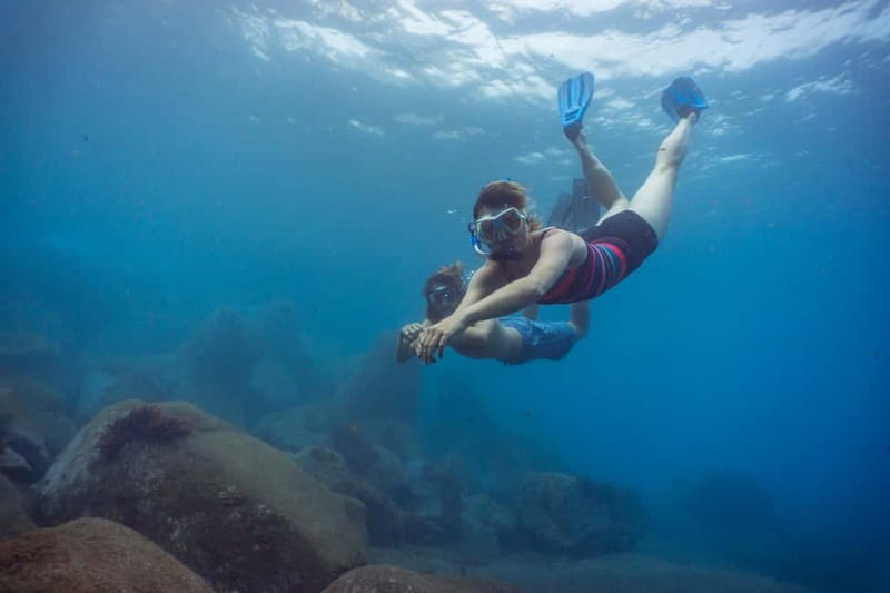 Funchal: Snorkeling Adventure in Eco-Park / Shore or by Boat - Is $17 good value?