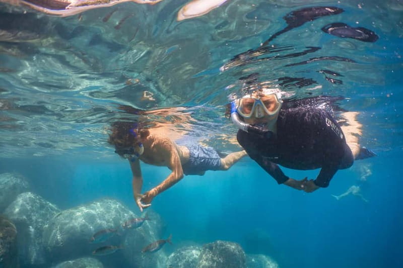 Funchal: Snorkeling Adventure in Eco-Park / Shore or by Boat - Choosing the house reef from shore