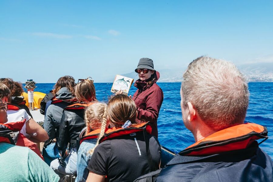 Funchal: Whale and Dolphin Watching Speed Boat Tour - Searching the Atlantic with land-based spotters