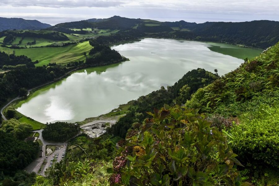 Furnas: Tea Plantations, Lake and Volcano Guided Tour - Gorreana Tea Plantation starts the day with a taste of São Miguel