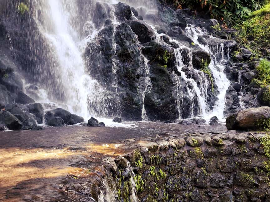 Furnas: Volcano Crater, Lake, Tea Plantation, and Waterfall - Starting along São Miguel’s north coast