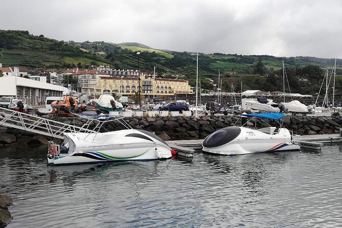Glass Bottom Boat Tour & Snorkeling in São Miguel, Azores - Why the $60.49 price can make sense