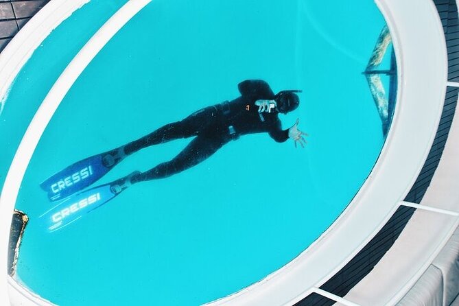 Glass Bottom Boat Tour & Snorkeling in São Miguel, Azores - Weather, cancellations, and flexible plans