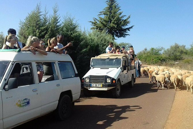 Half-Day Algarve Countryside and Villages Jeep Safari - Cork trees and a working countryside