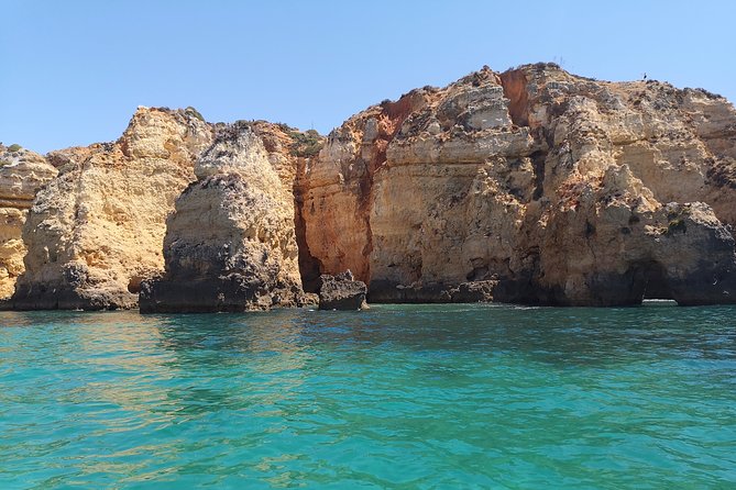 Half Day Cruise to Ponta da Piedade with Lunch and Drinks - Who will enjoy this boat trip most