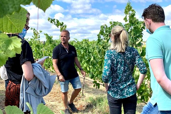 Half Day Safari Tour with Wine Tasting - A relaxed afternoon, with a few rough edges