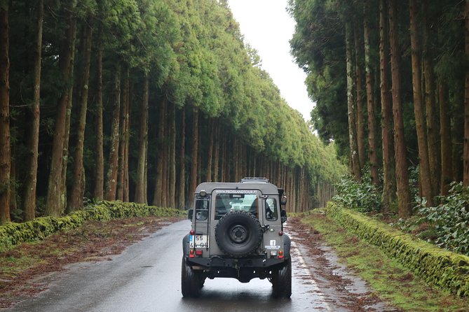 Half Day Terceira Island Tour by 4x4 - Forest roads, plants, and the island interior