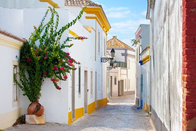 Highlights & Hidden Gems of Faro Private Tour - Who will get the most from this Faro tour