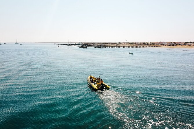 Hop On Hop Off 3 Islands: Deserta, Farol and Culatra - Which island deserves most of your day?