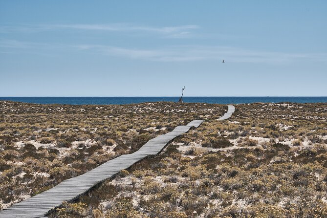 Hop On Hop Off 3 Islands: Deserta, Farol and Culatra - What the $48.27 price really covers