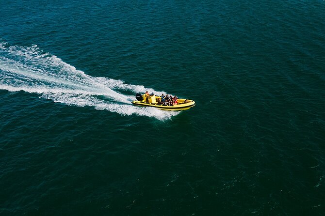 Hop On Hop Off 3 Islands: Deserta, Farol and Culatra - Ilha Deserta, Faro’s quietest island stop
