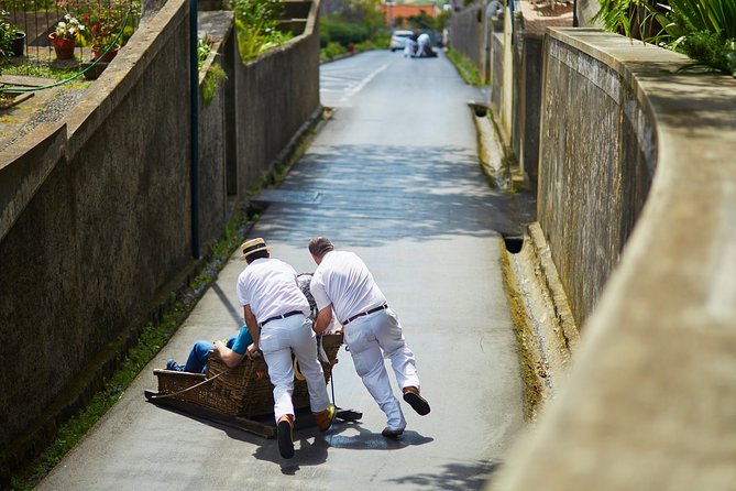 Hop-on Hop-off Bus Tour and Catamaran Whale & Dolphin Watching - Quinta Magnólia and the climb to Pico dos Barcelos